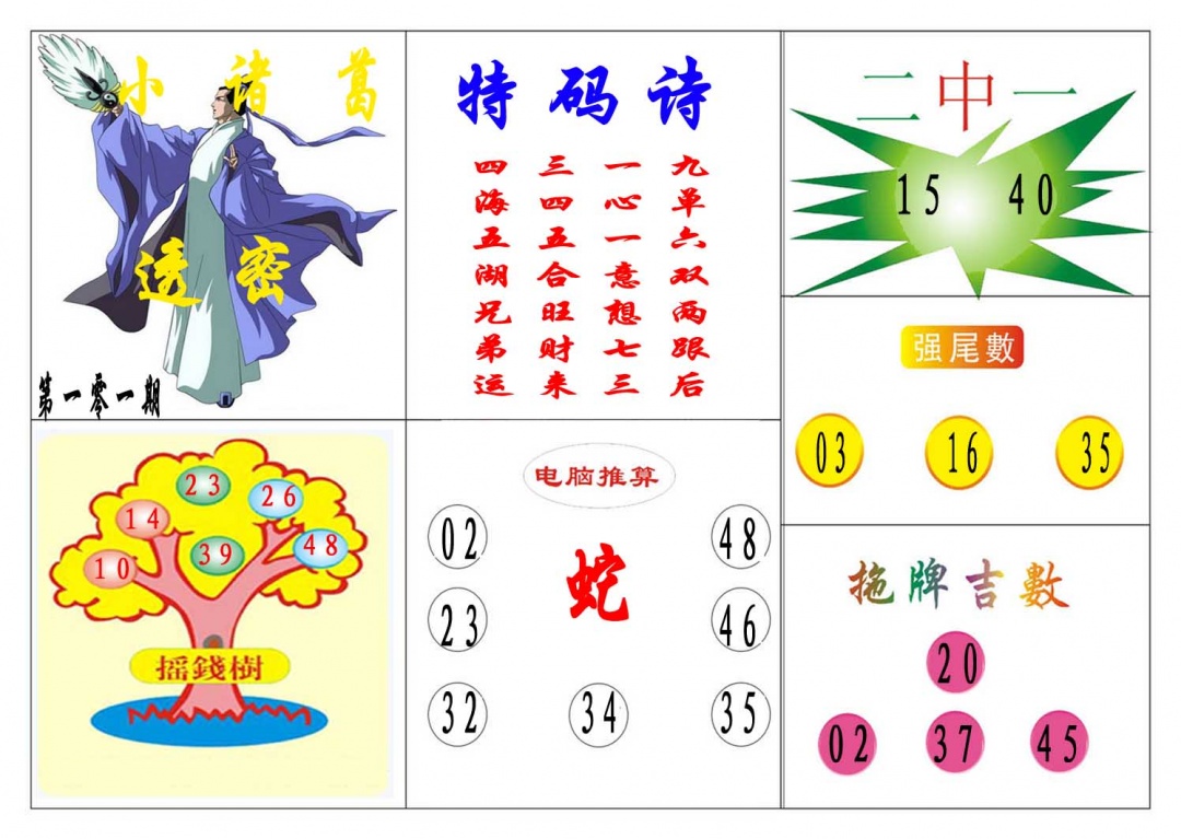 101期小诸葛[图]